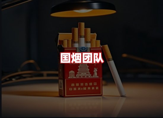 国烟团队